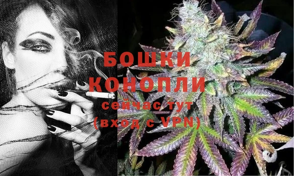 ешки Козловка