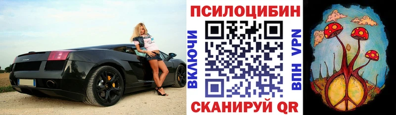 Купить закладки  Петропавловск-Камчатский  Псилоцибиновые грибы Cubensis 